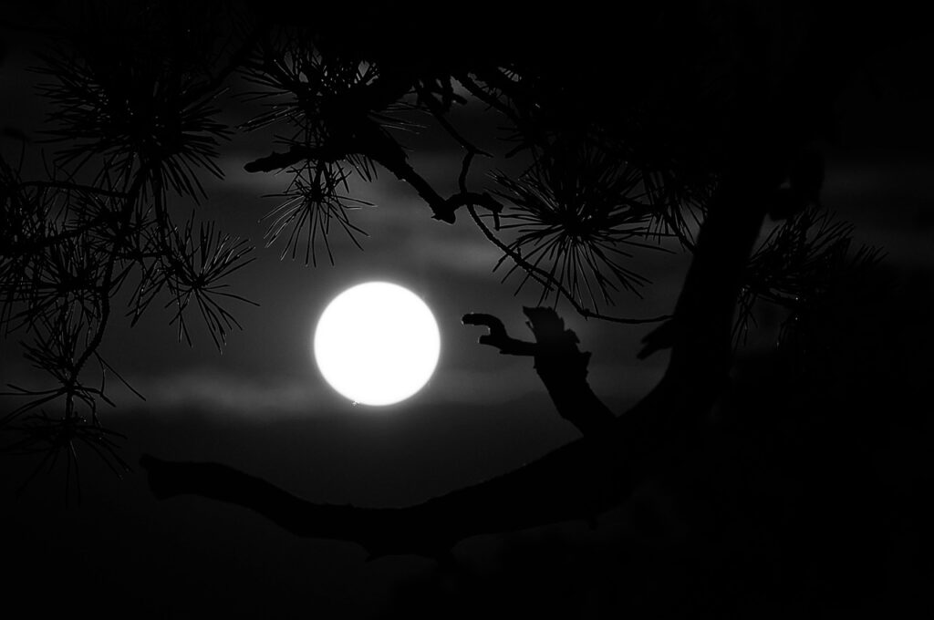 66月夜